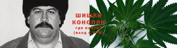 альфа пвп Няндома
