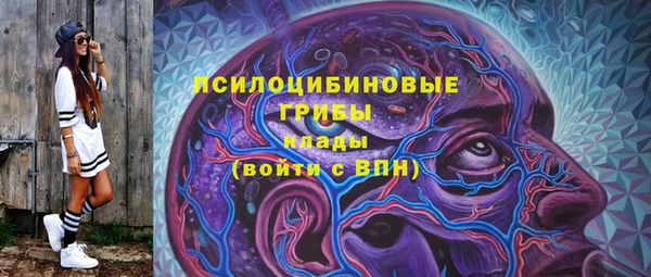 ECSTASY Нязепетровск