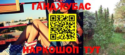 крисы Азнакаево