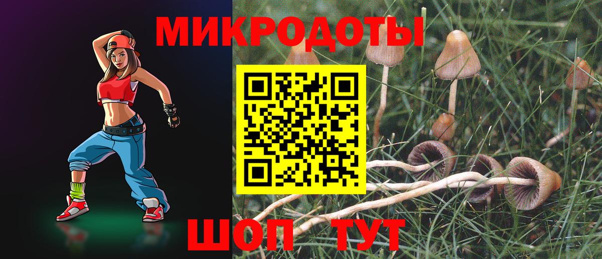 Псилоцибиновые грибы Cubensis Балаково