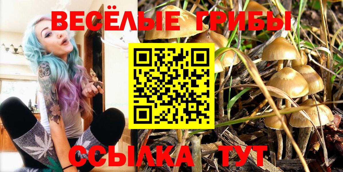 Балаково  Галлюциногенные грибы Magic Shrooms  Вход с VPN 